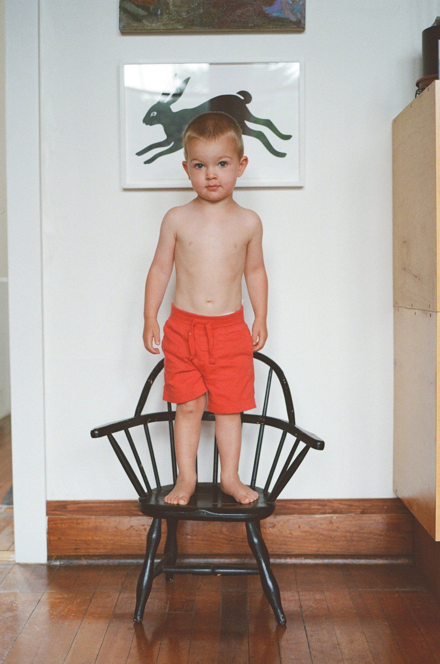 Gus on Top of the World by Georgia Hilmer, 2026 — personal gus
