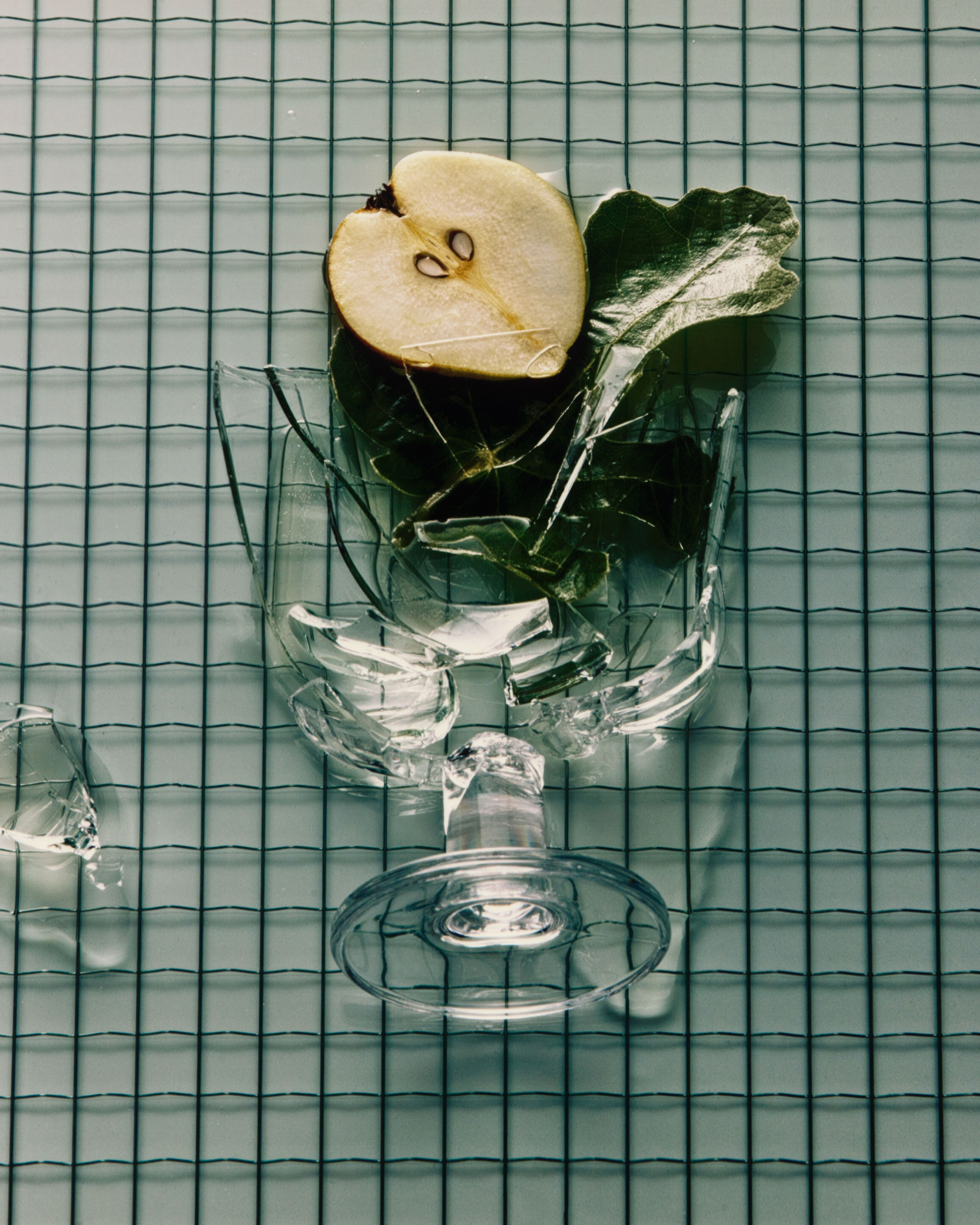 Shapes & Liquid by JoJo Li, 2026 — tabletop shapes 01