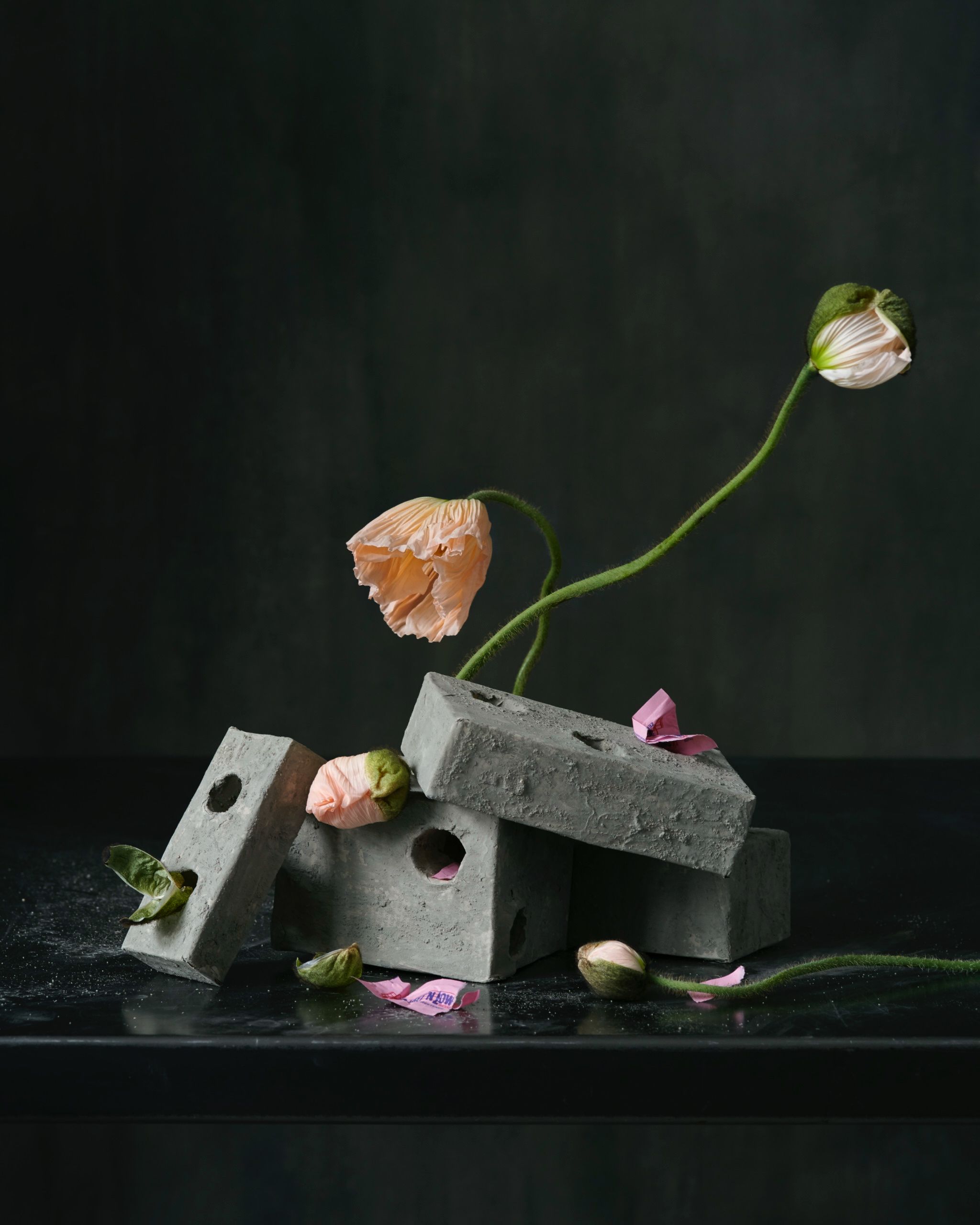 Still LIfe by Laura Woolf, 2019 — still life poppies 02