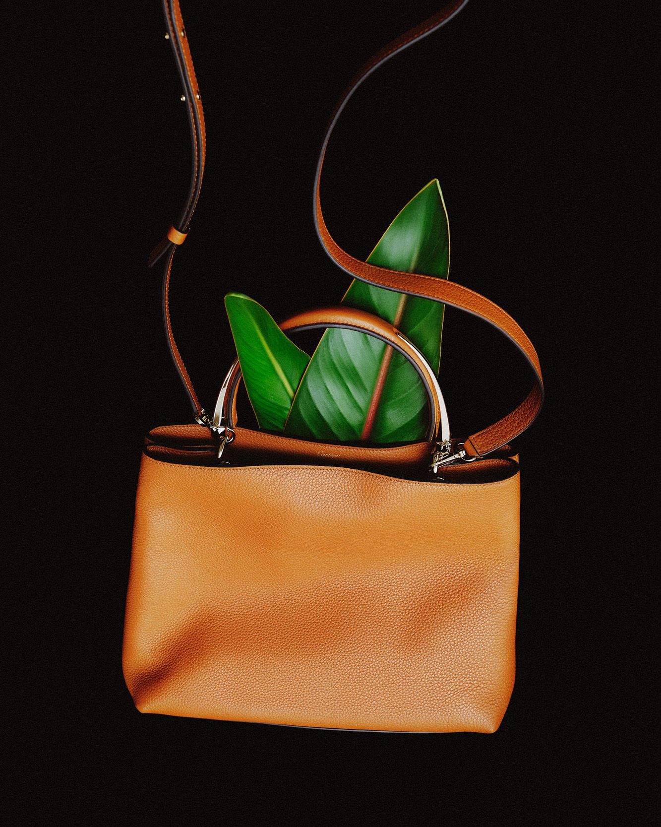 Cartier Panthère Double by Laura Woolf, 2024 — Purse blog cartier 08
