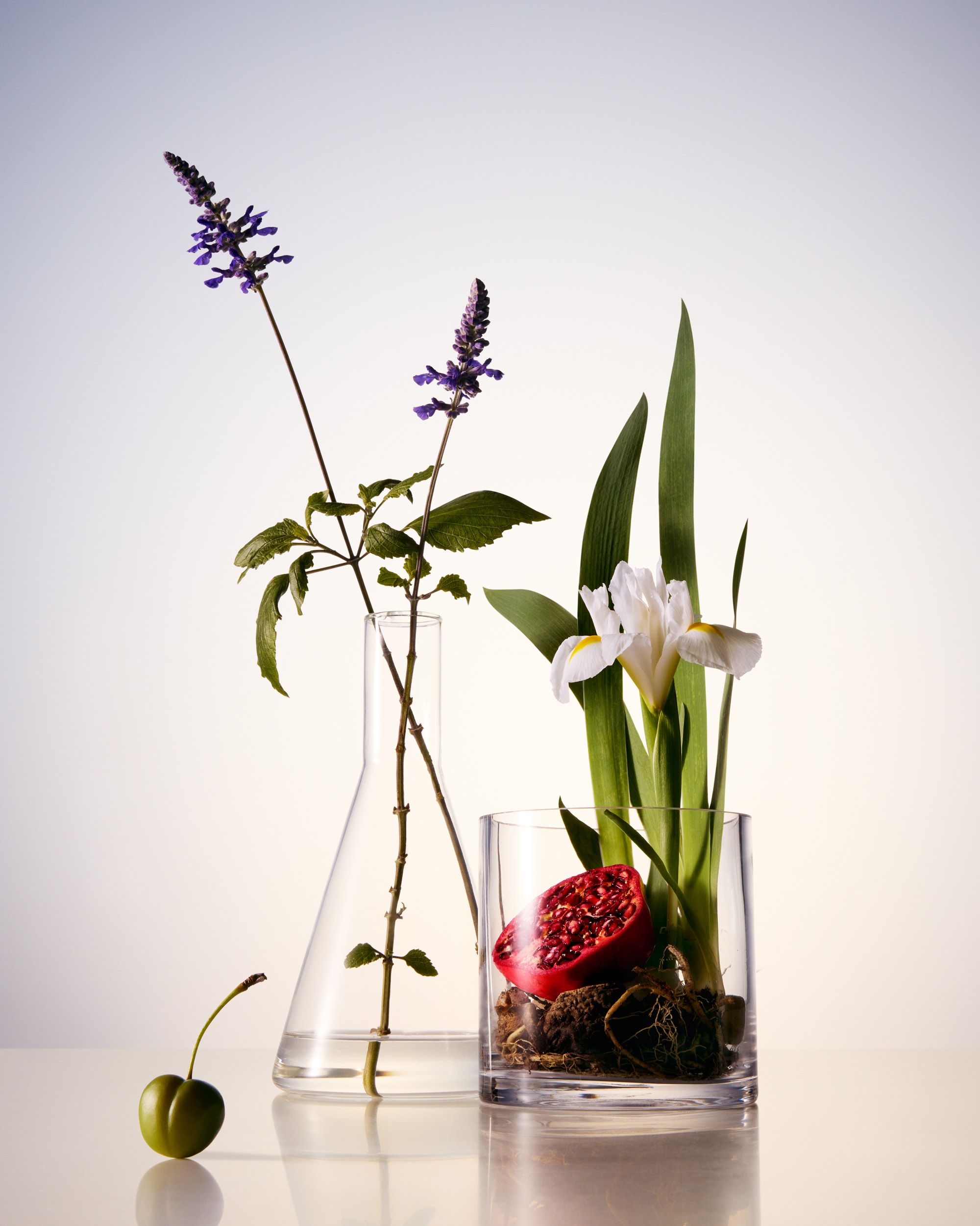 Artistry — artistry ingredients 02